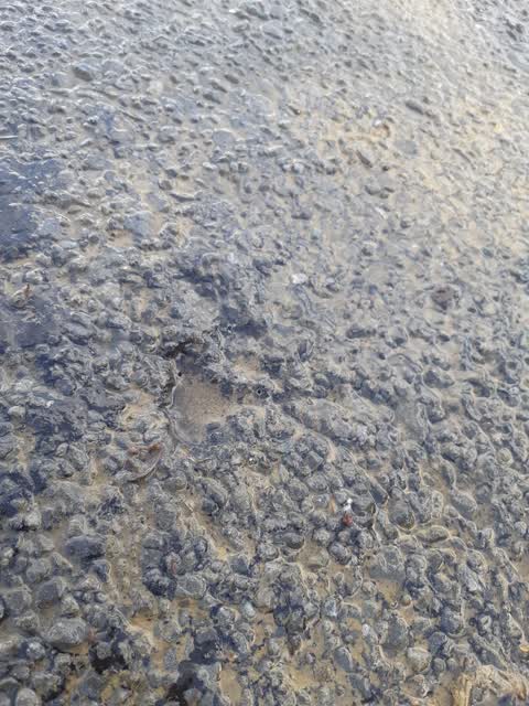 Roading/Streets, a report photo