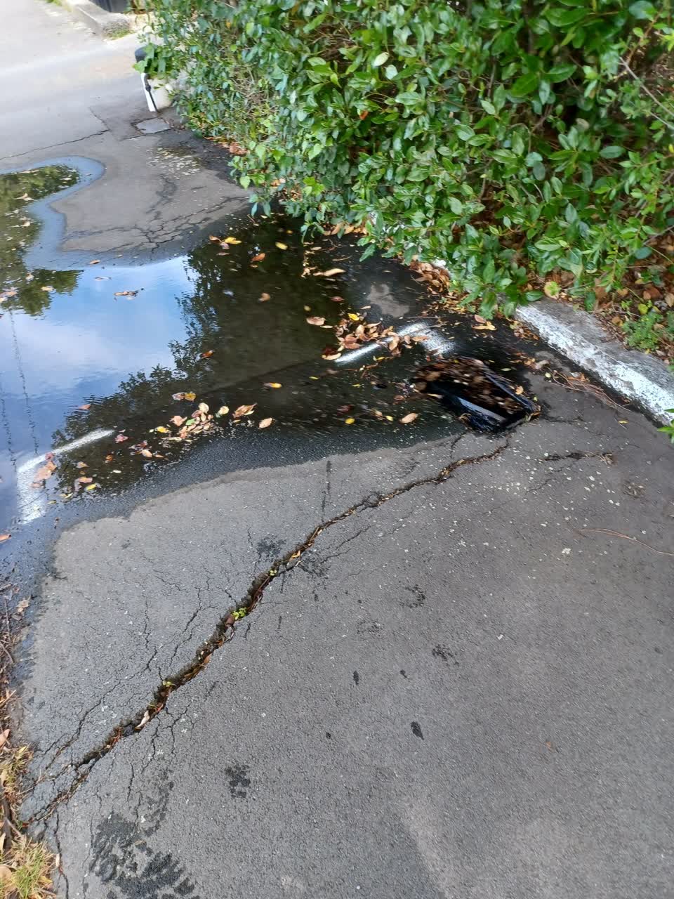 The photograph attached to this water leak report