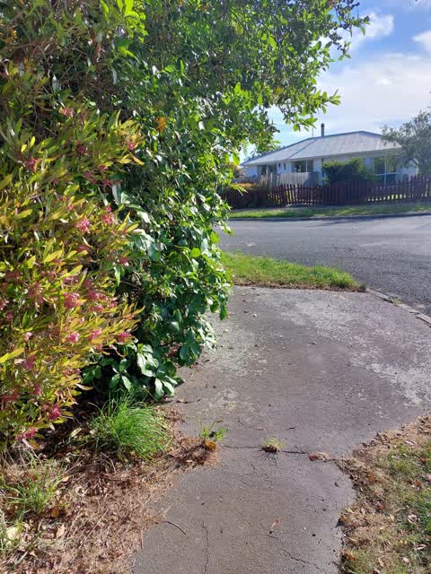 Roading/Streets, a report photo