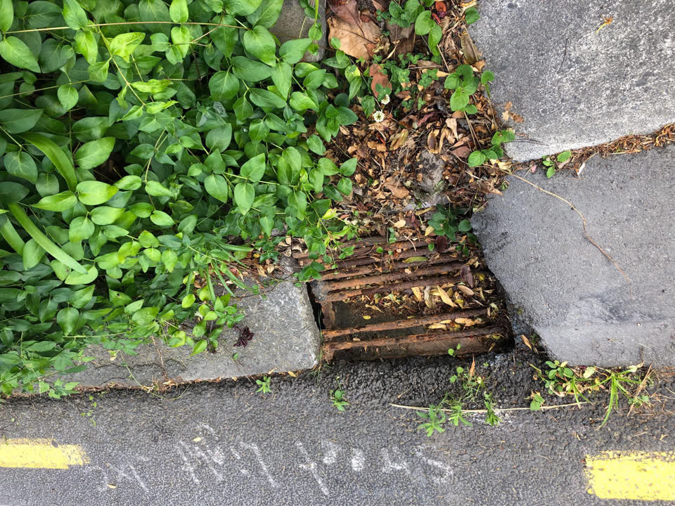 The photograph attached to this roading/streets report