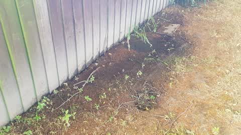 Water Leak, a report photo