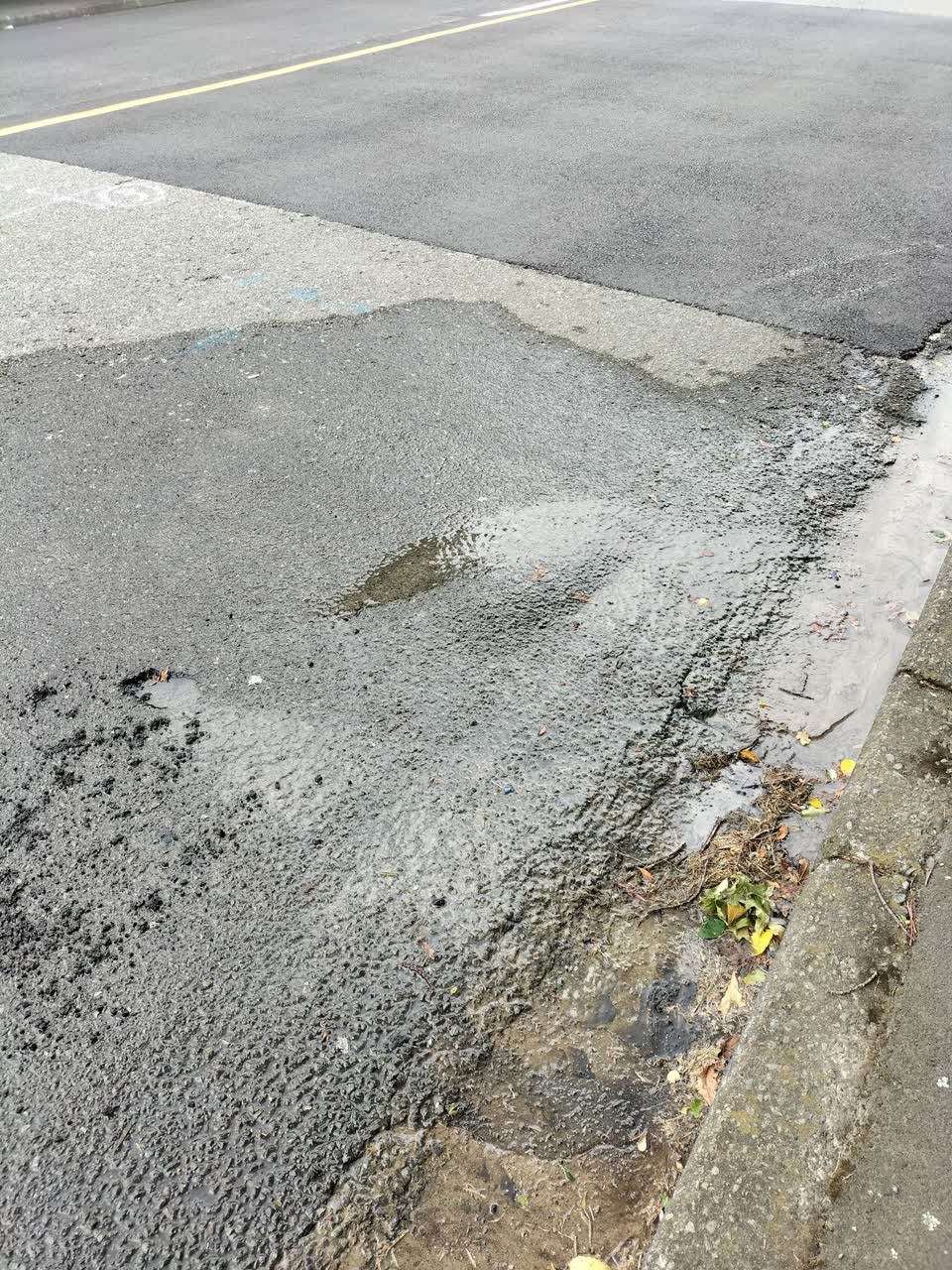 The photograph attached to this water leak report