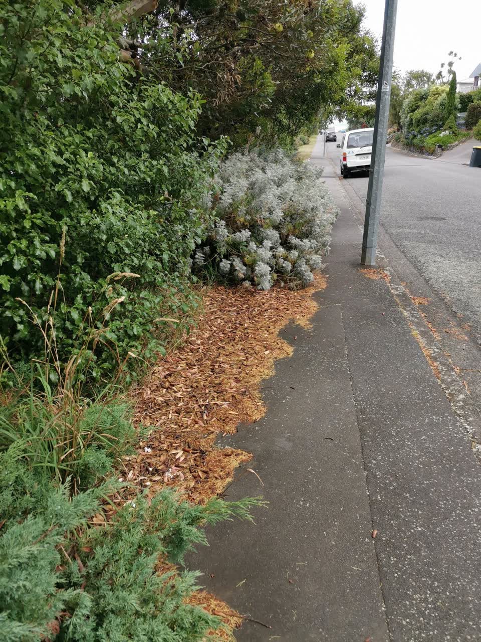 The photograph attached to this roading/streets report