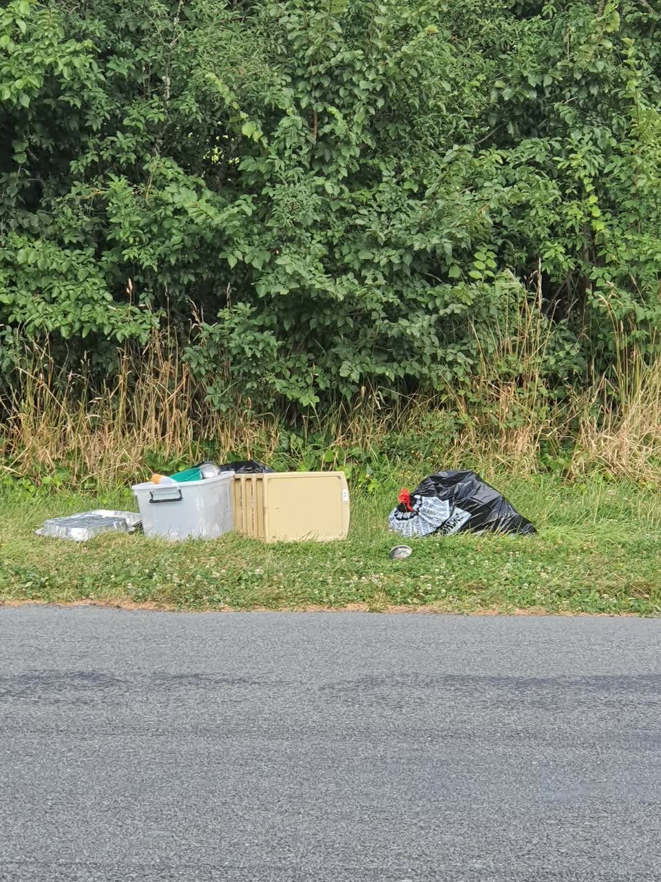 The photograph attached to this rubbish/recycling report