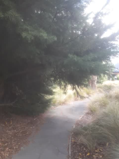 Parks, a report photo