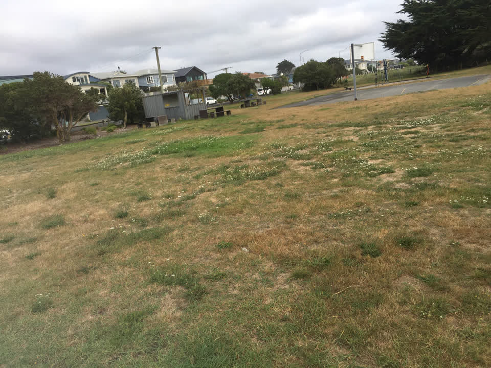 The photograph attached to this parks report