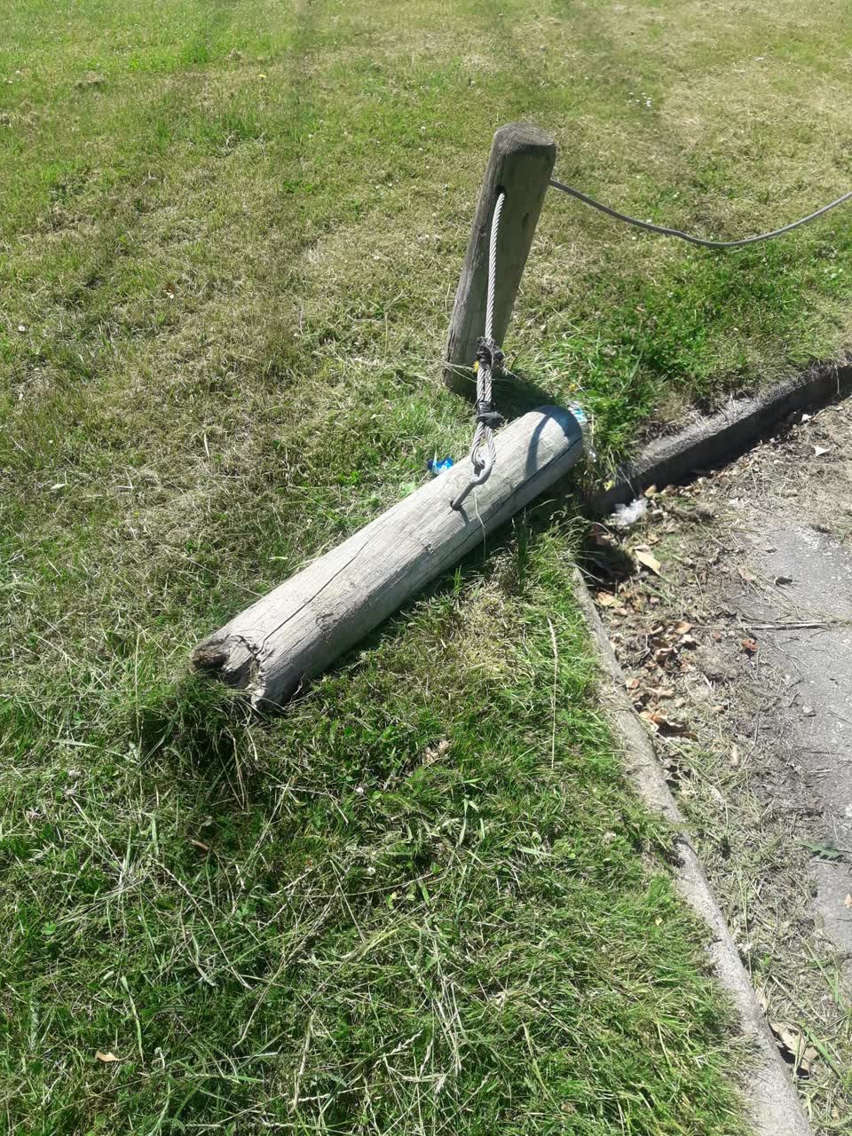 The photograph attached to this parks report