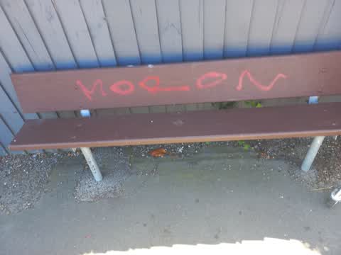 Graffiti, a report photo