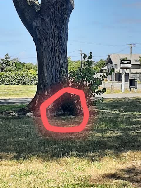 Parks, a report photo
