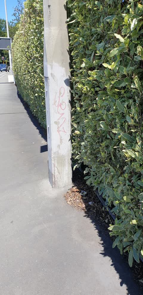 Graffiti, a report photo