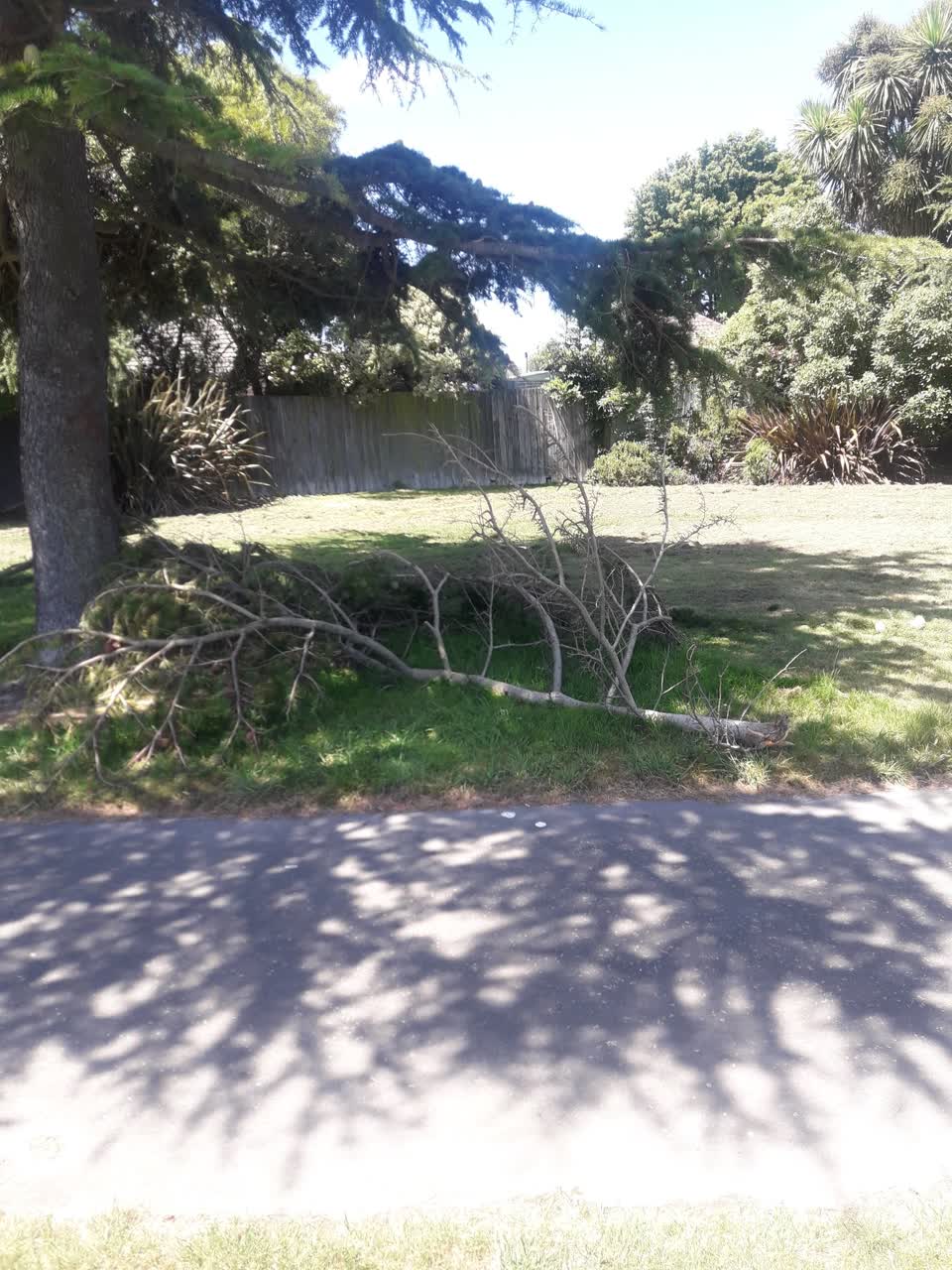 The photograph attached to this parks report
