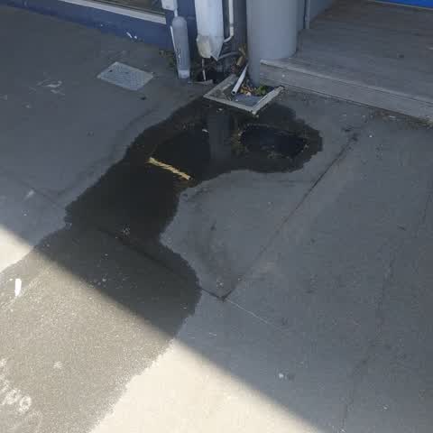 Water Leak, a report photo