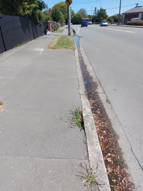 Roading/Streets, a report photo
