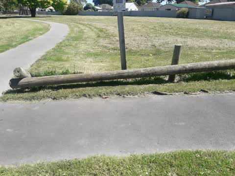 Parks, a report photo
