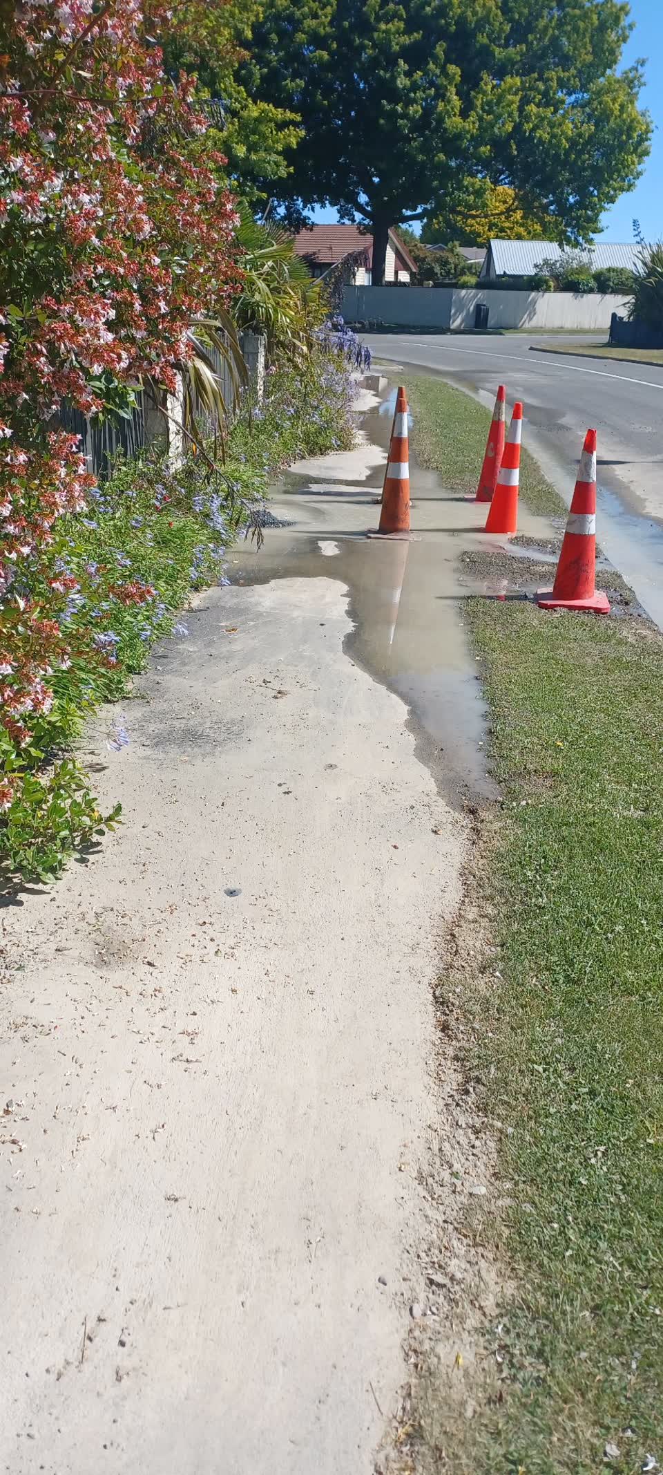 The photograph attached to this water leak report