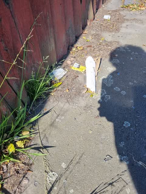 Rubbish/Recycling, a report photo