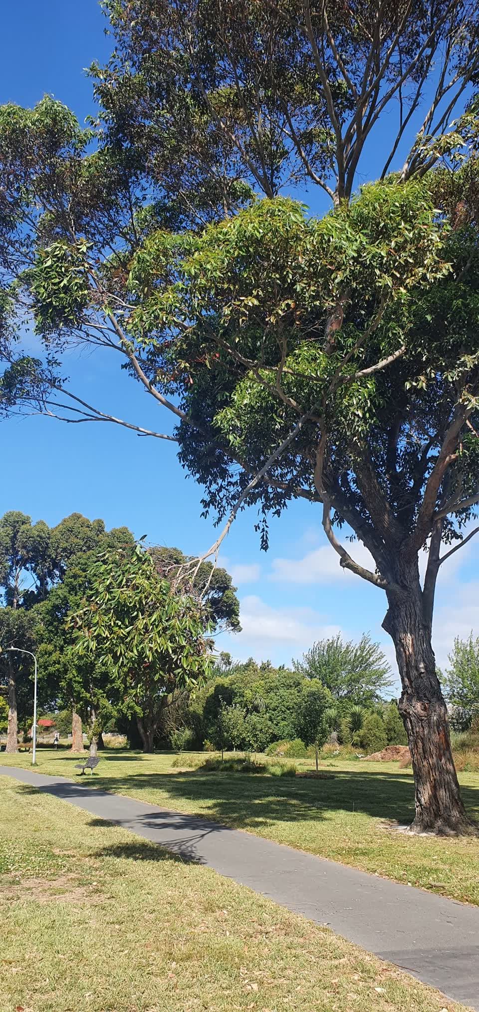 The photograph attached to this parks report