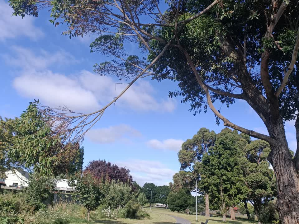 The photograph attached to this parks report
