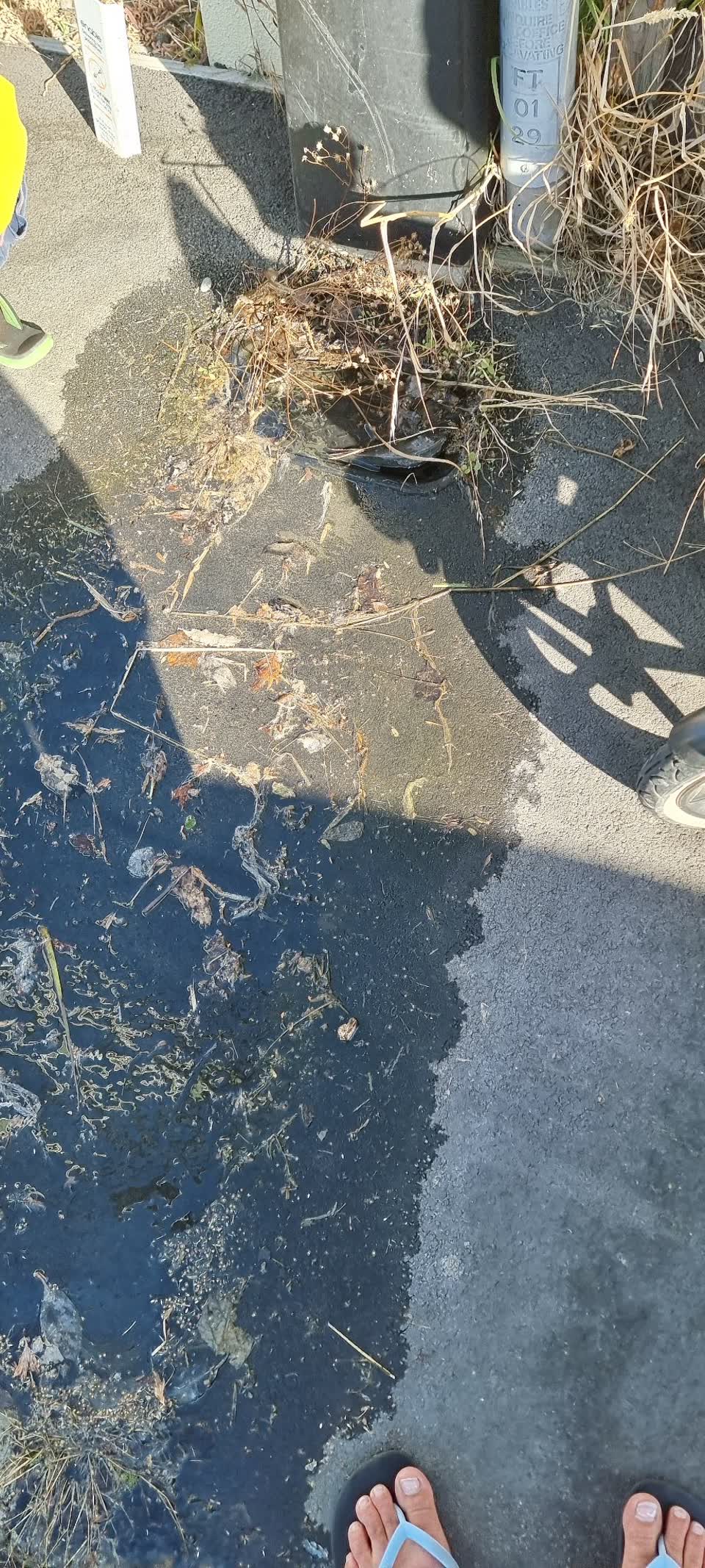 The photograph attached to this water leak report
