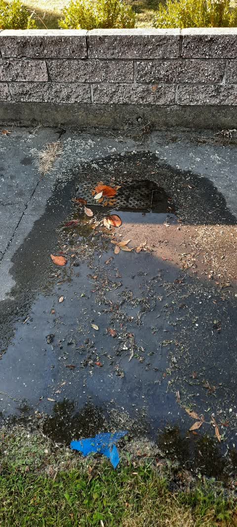 Water Leak, a report photo