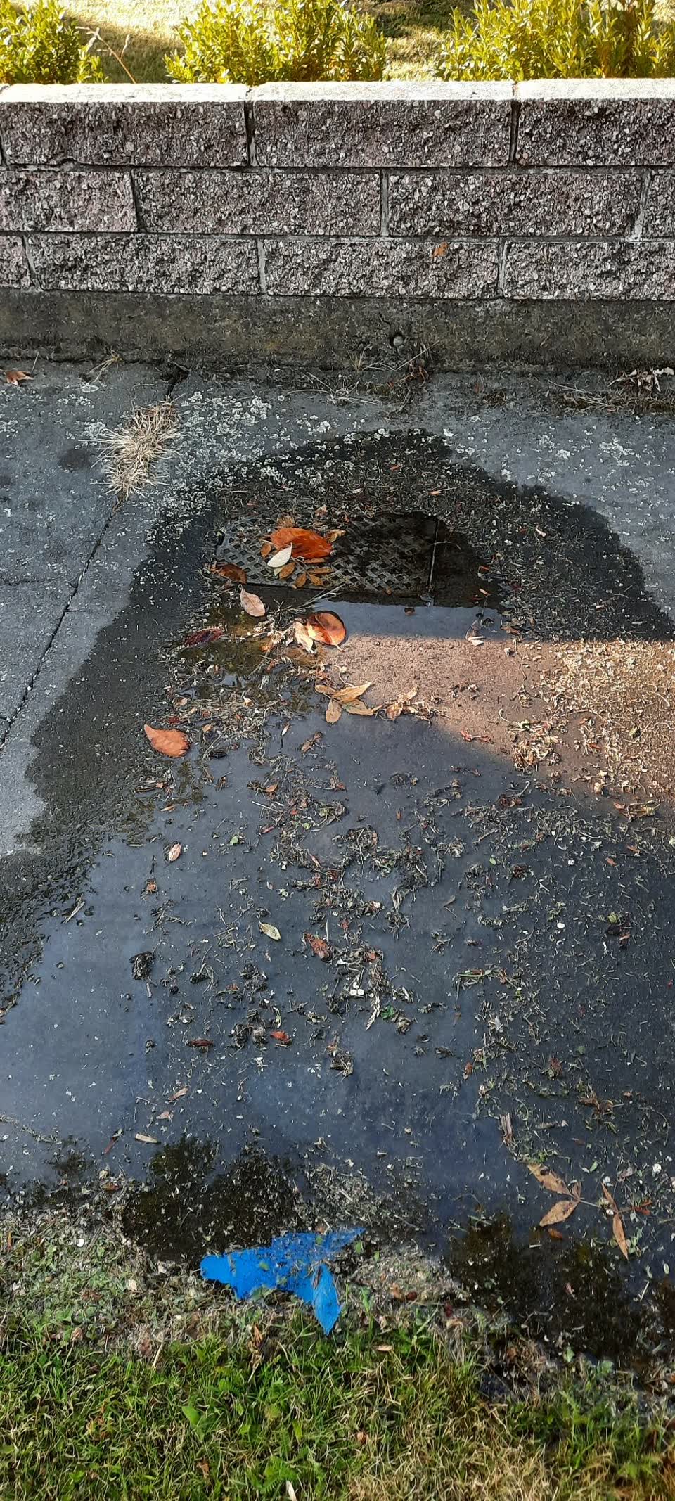 The photograph attached to this water leak report