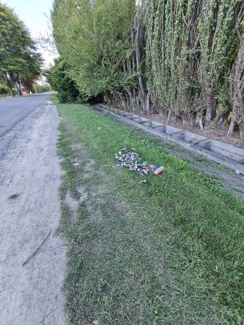 Rubbish/Recycling, a report photo