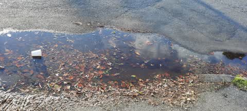 Flooding, a report photo