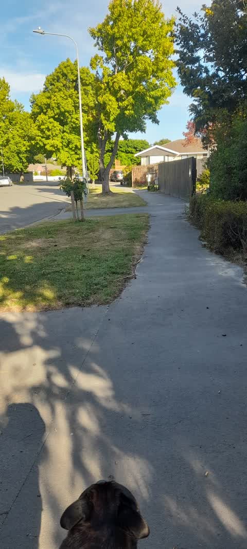 Roading/Streets, a report photo