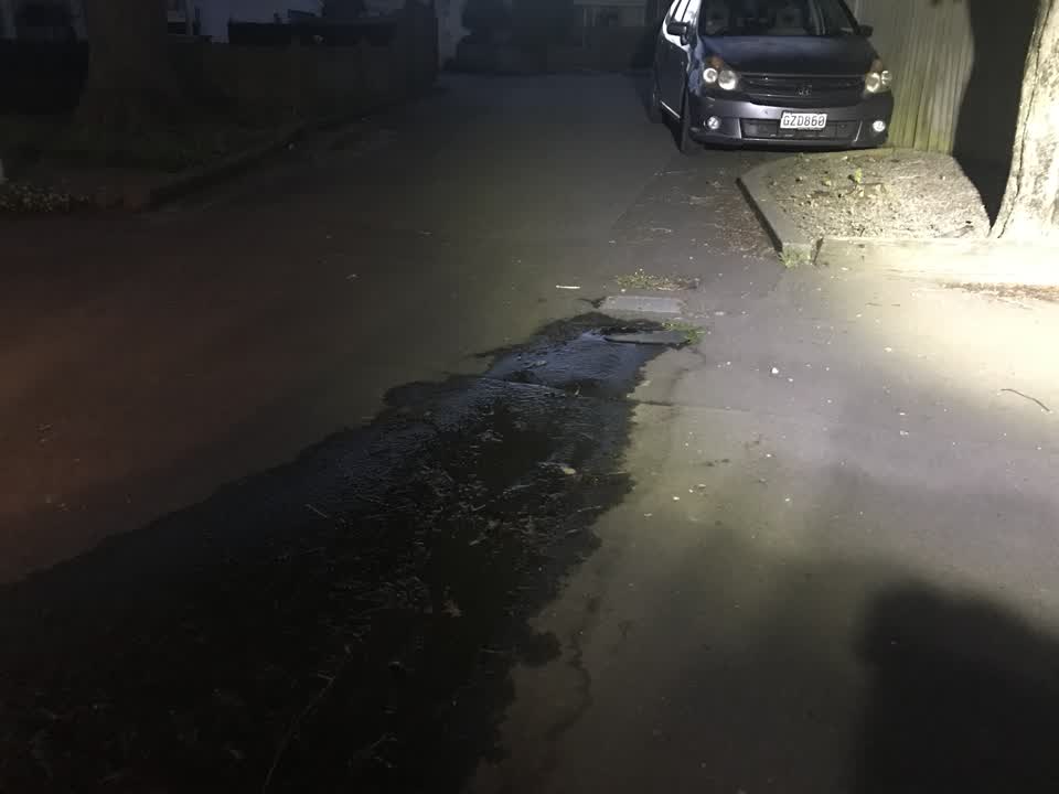 The photograph attached to this water leak report