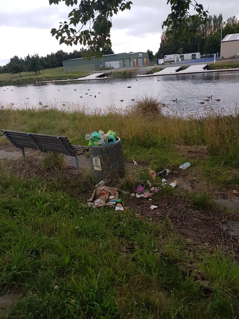 The photograph attached to this rubbish/recycling report