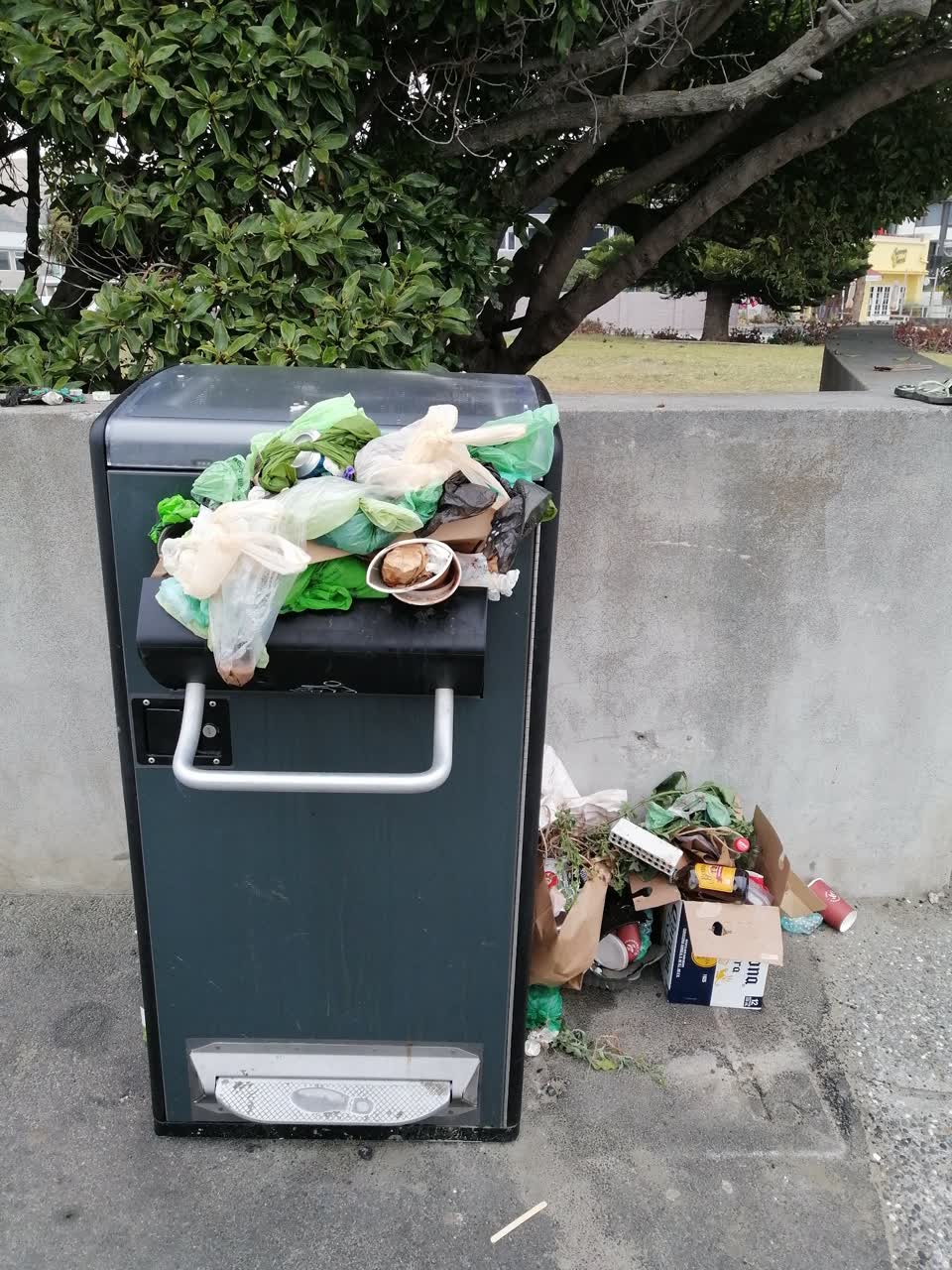 The photograph attached to this rubbish/recycling report