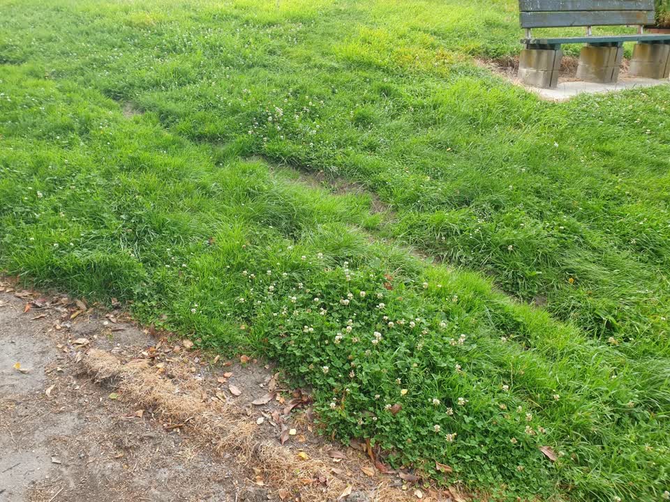 The photograph attached to this parks report