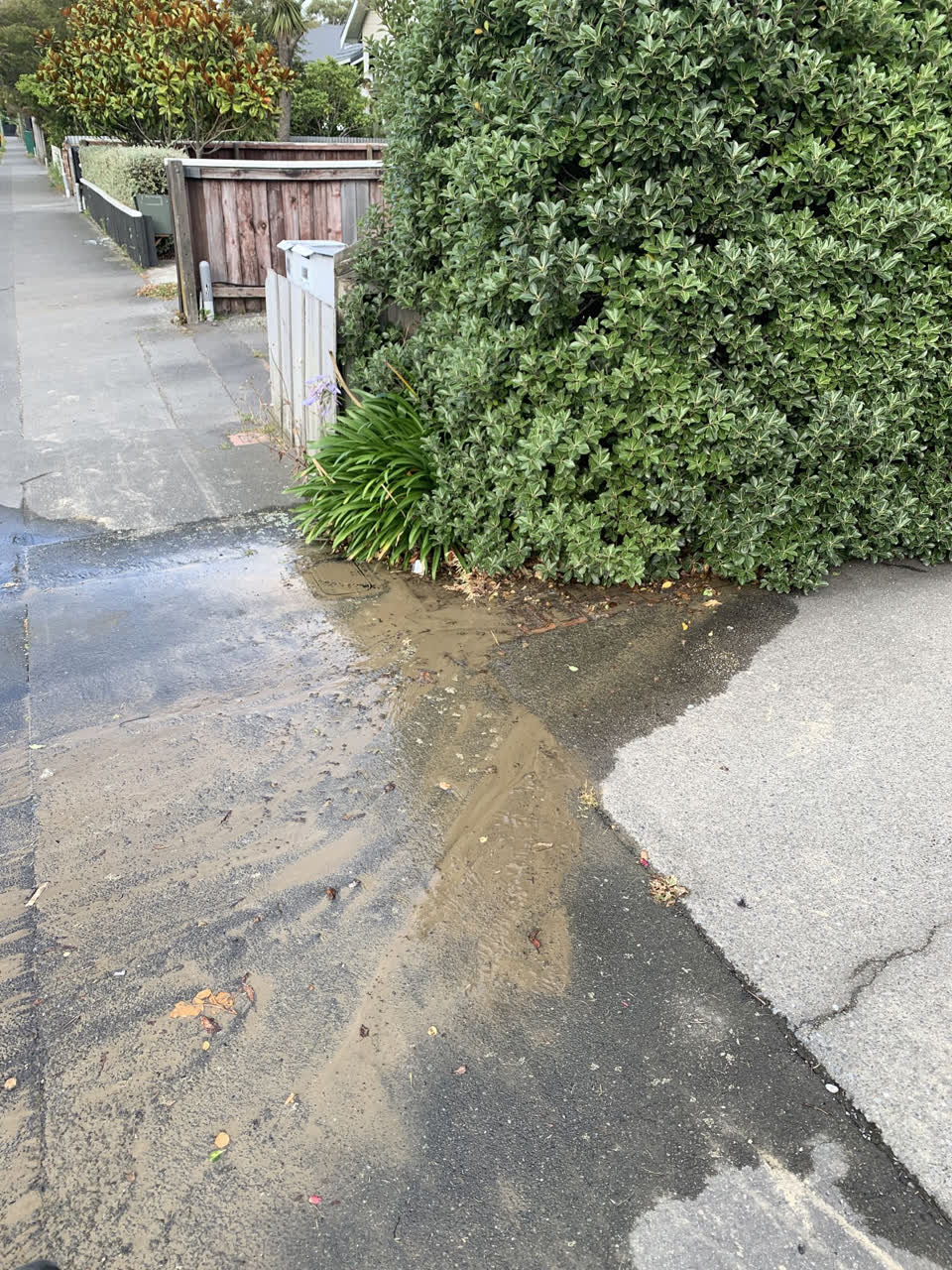 The photograph attached to this water leak report