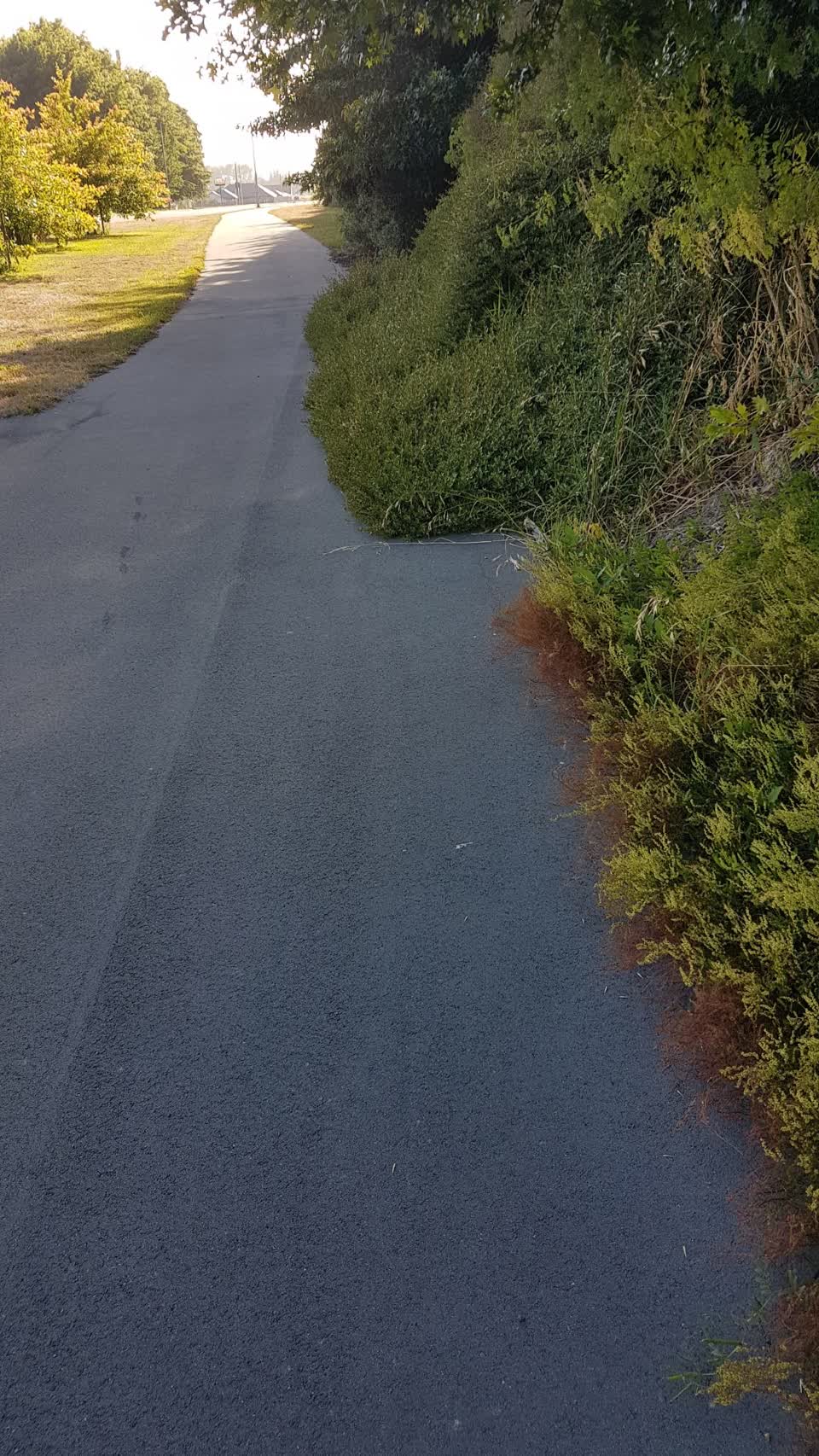 The photograph attached to this parks report