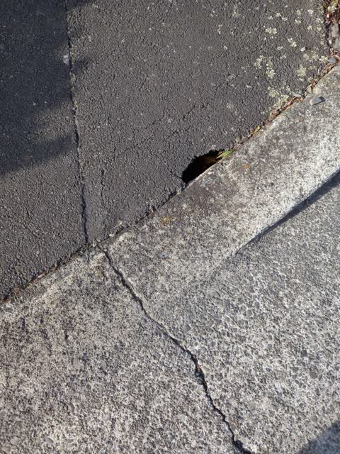 Roading/Streets, a report photo