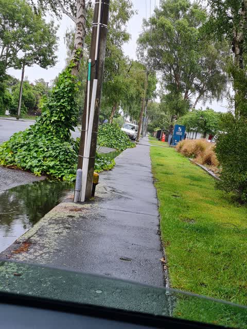 Roading/Streets, a report photo