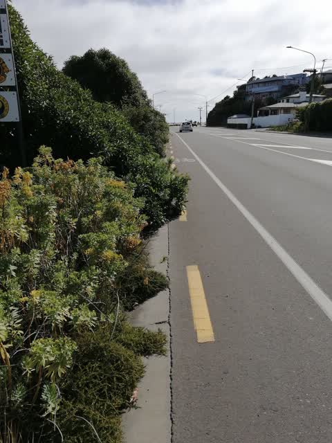 Roading/Streets, a report photo