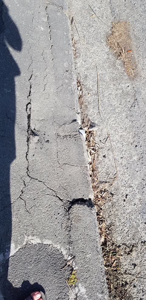 Roading/Streets, a report photo