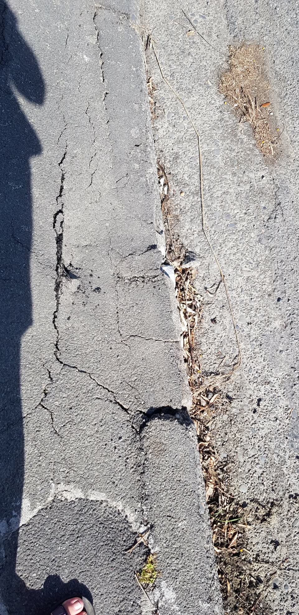 The photograph attached to this roading/streets report