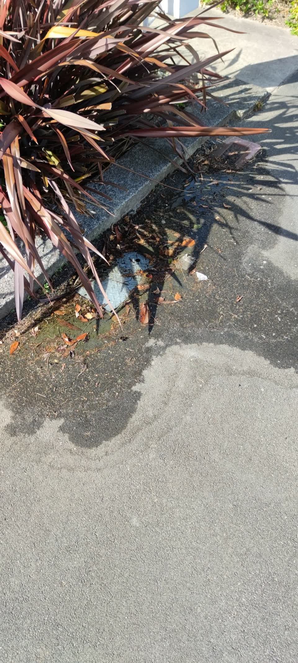 The photograph attached to this water leak report