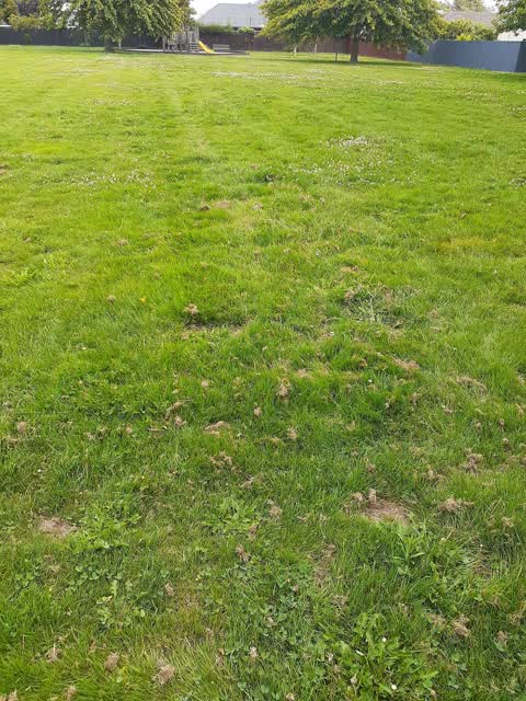 Parks, a report photo