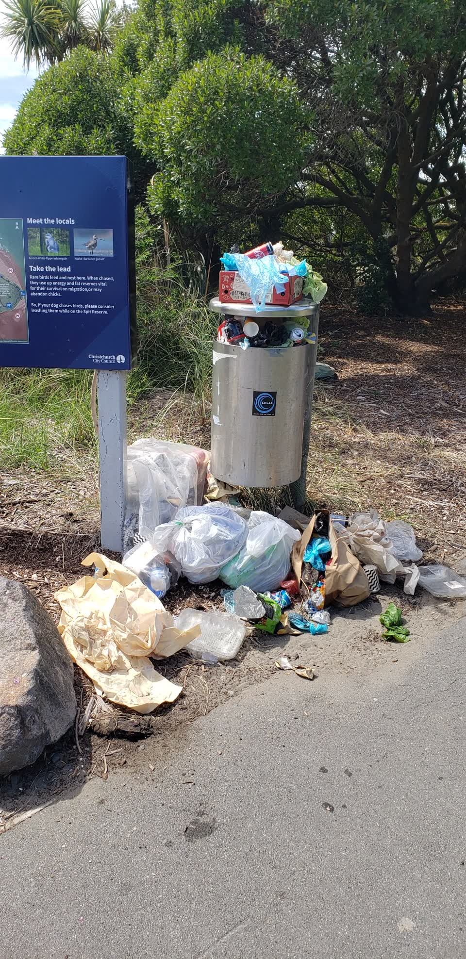 The photograph attached to this rubbish/recycling report