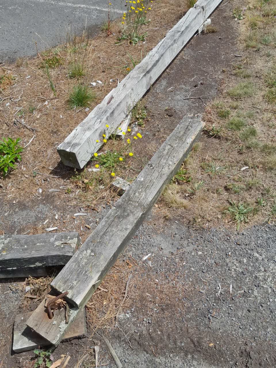The photograph attached to this parks report