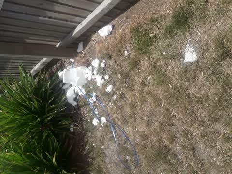 Rubbish/Recycling, a report photo