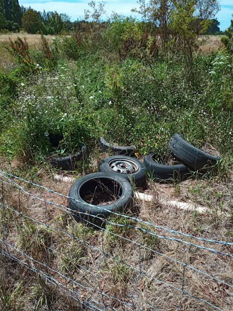 Rubbish/Recycling, a report photo