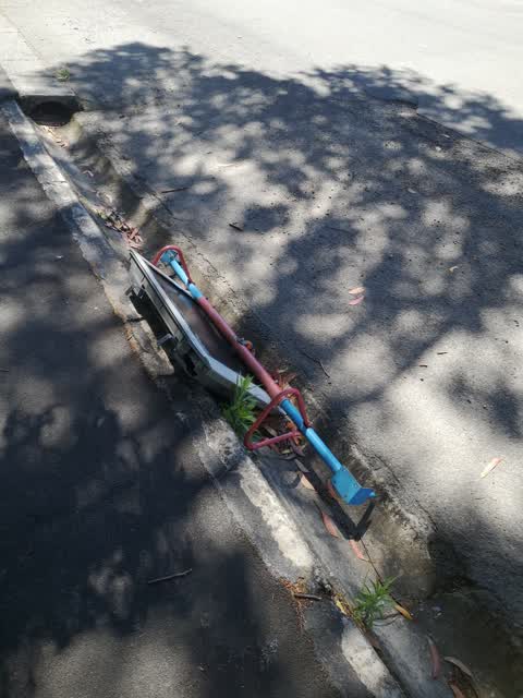 Rubbish/Recycling, a report photo