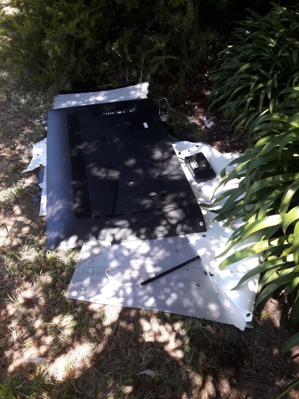 The photograph attached to this parks report