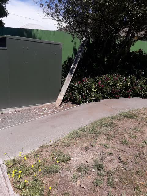 Parks — a report photo