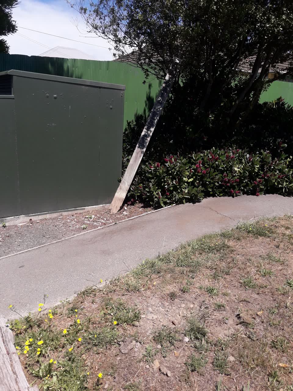 The photograph attached to this parks report
