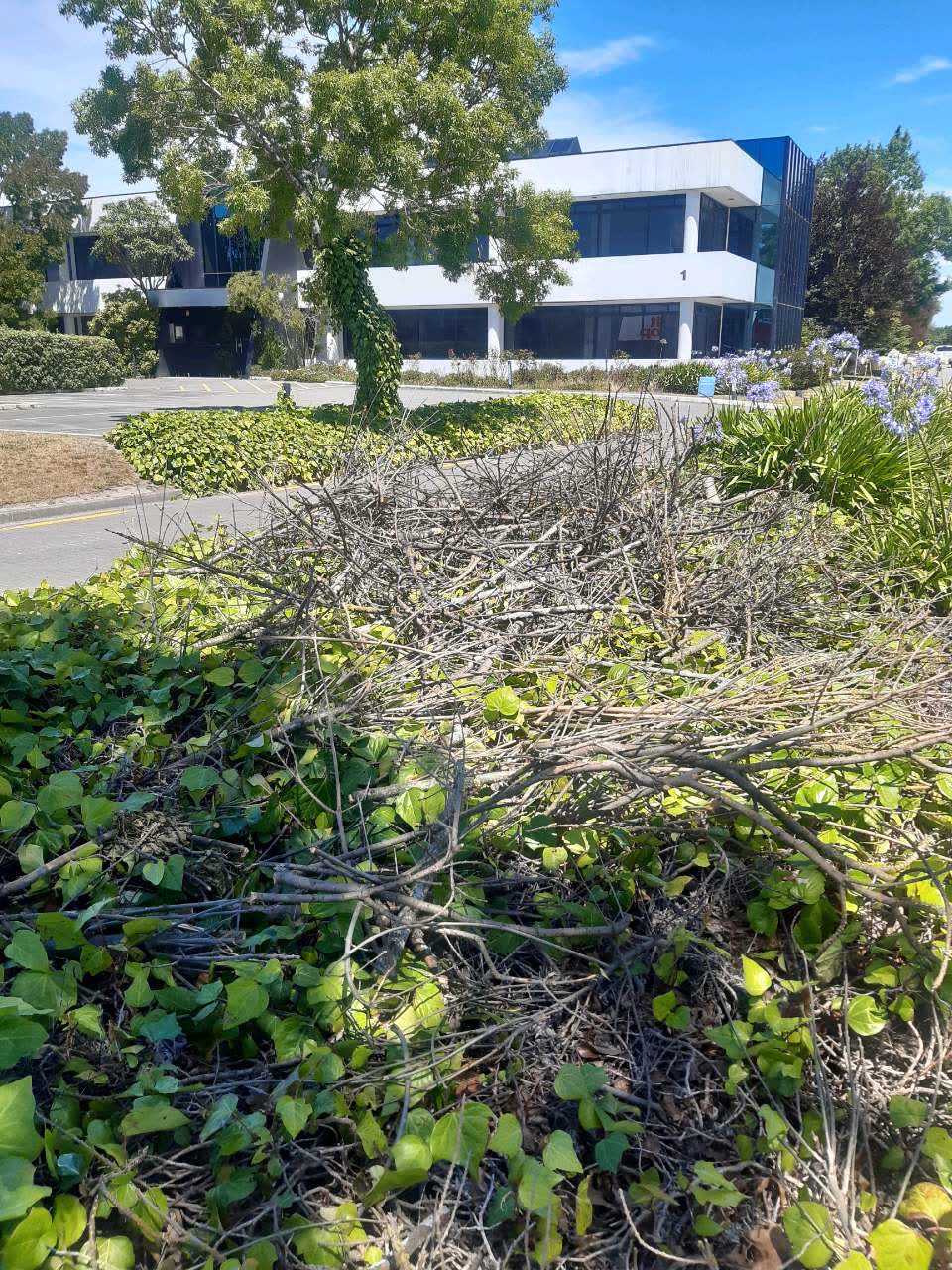 The photograph attached to this parks report